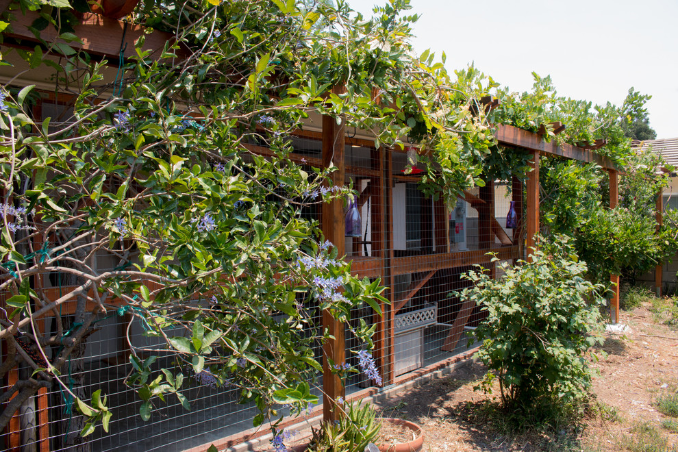 Mid-sized mountain style backyard concrete patio photo in Los Angeles with a pergola