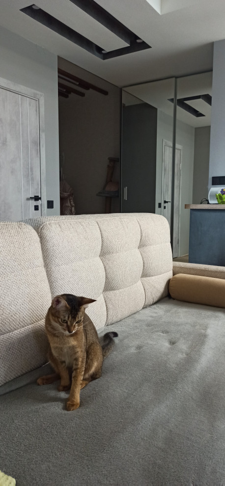 Современный интерьер с элементами лофта и сканди.