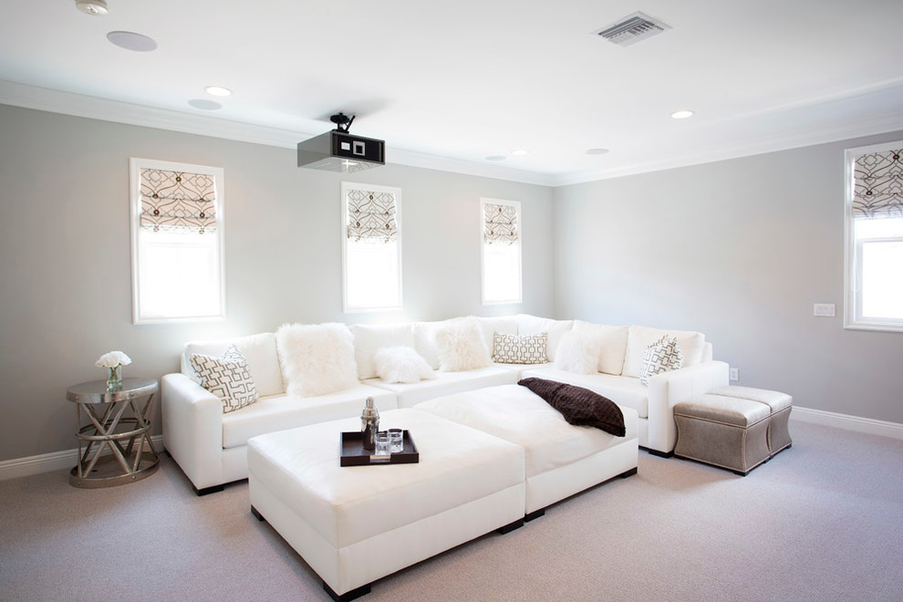 This is an example of a transitional home theatre in Other.