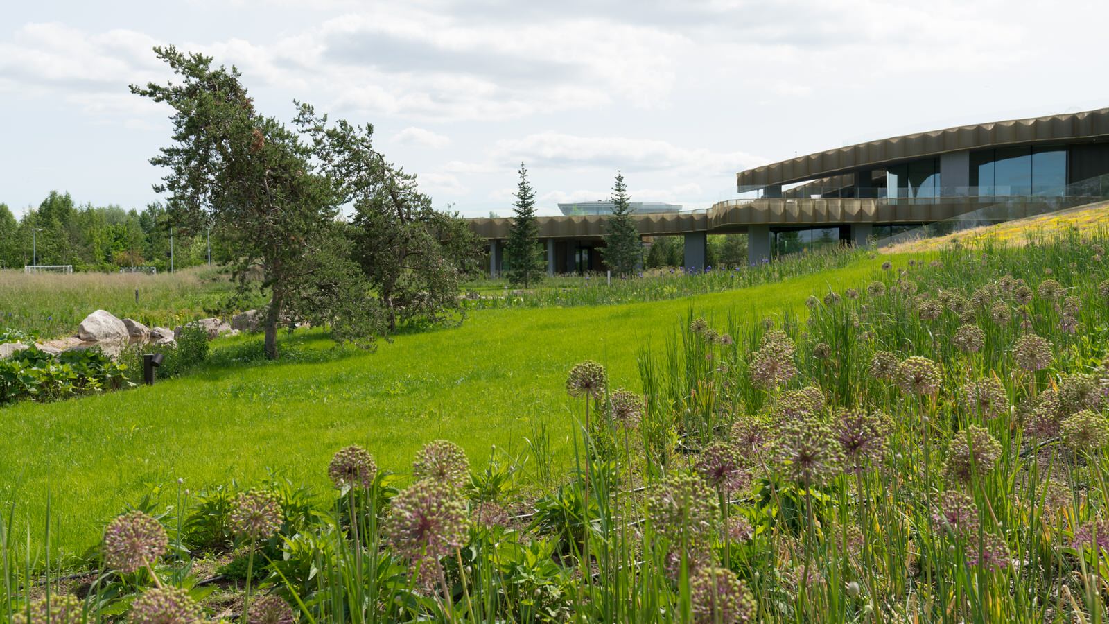 Природный сад. Жуковка XXI век. 2017-2018 гг.