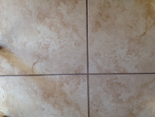 Anyone Recognize This Discontinued Florida Tile