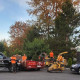 Landmark Tree Care