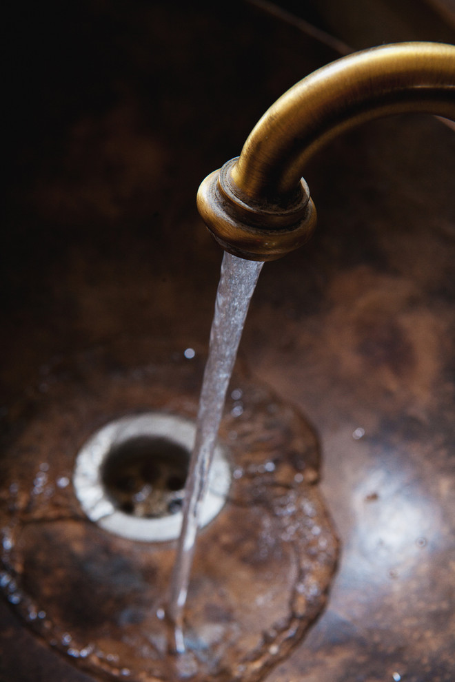 Виноградная Лоза