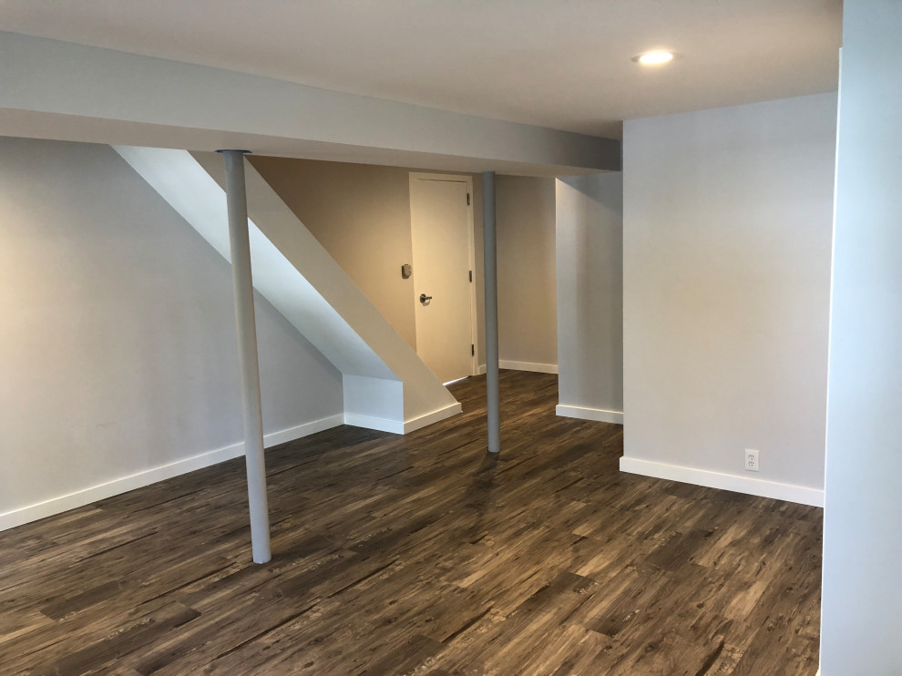 Transitional basement photo in New York