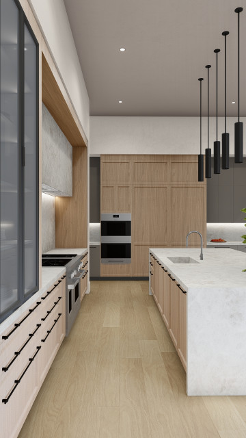 Lincoln transitional kitchen transitional-rendering