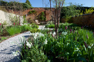 Yard of the Week: Welcoming Wildlife Haven With Room to Lounge (18 photos)