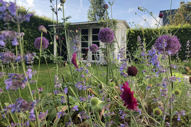  garden