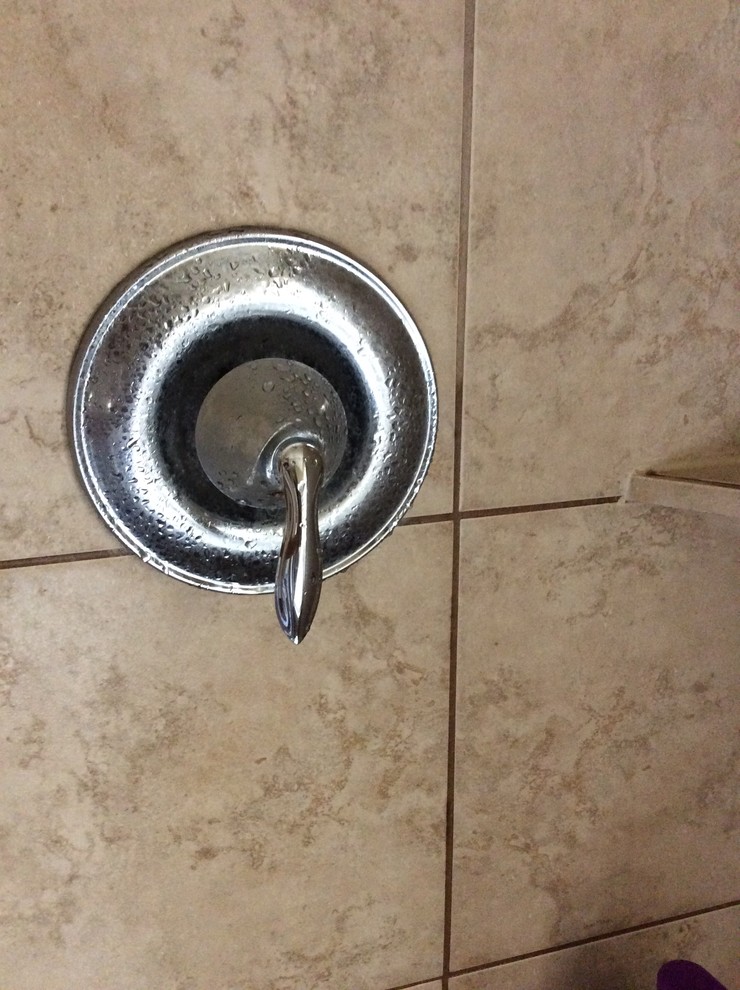 Replacing a shower regulator