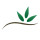E. Williams Landscapes Ltd