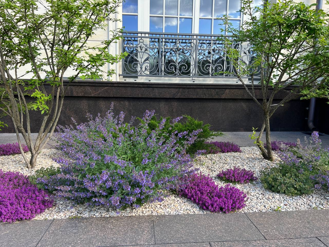 Классика вне времени