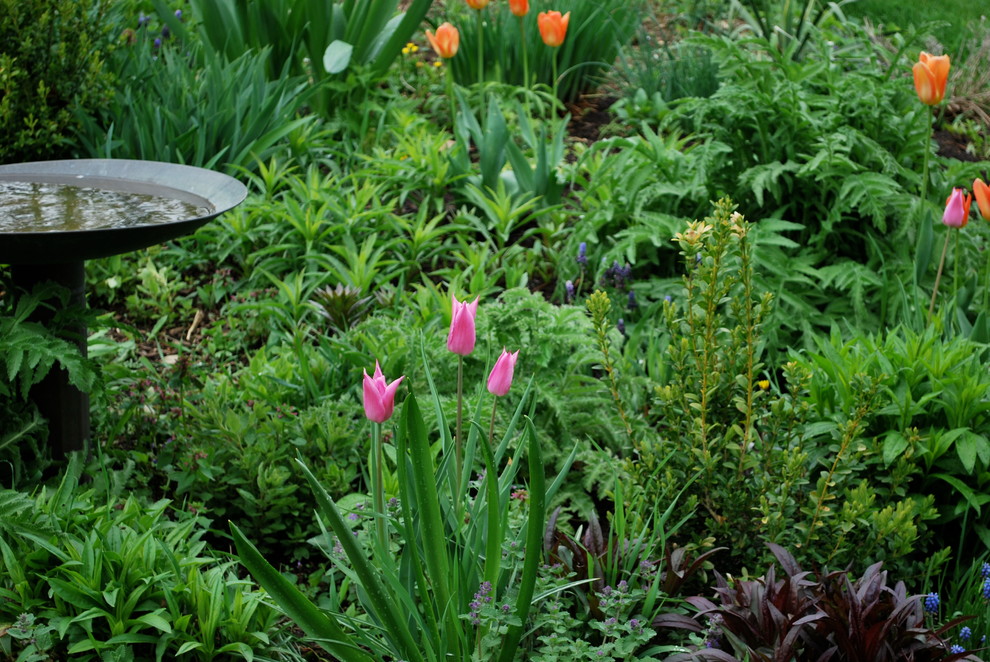 Favorite Plant Palette