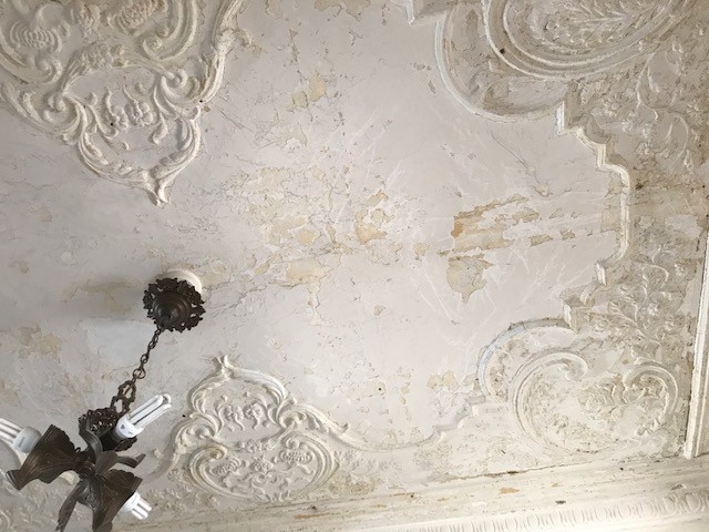 Ceiling Restoration