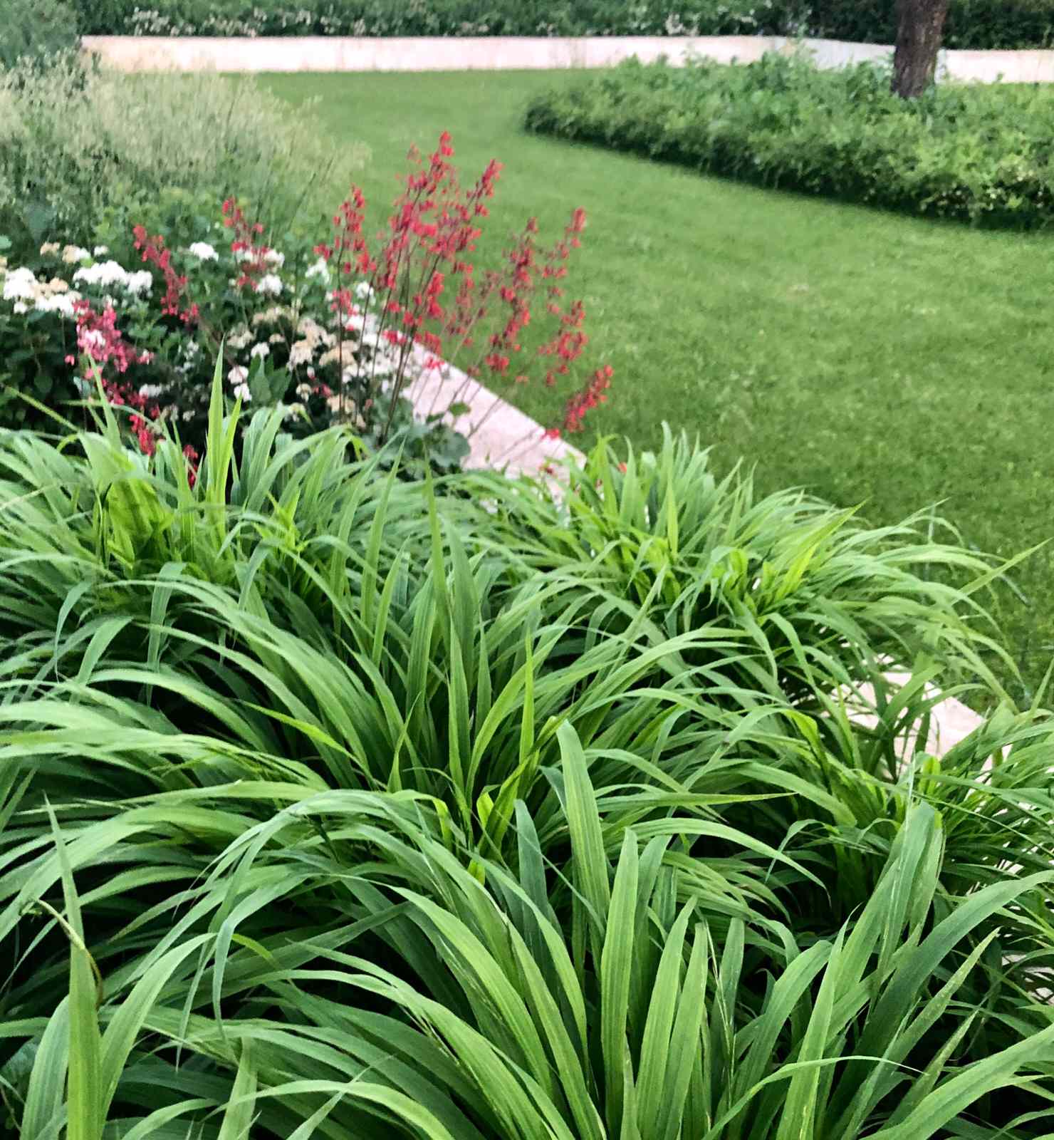 СНТ Ветеран