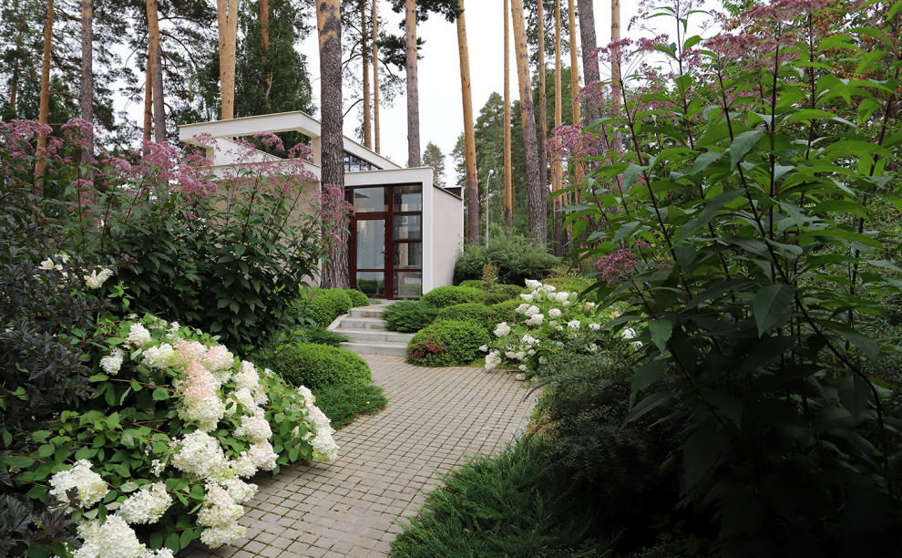 Маленький сад между большими соснами.