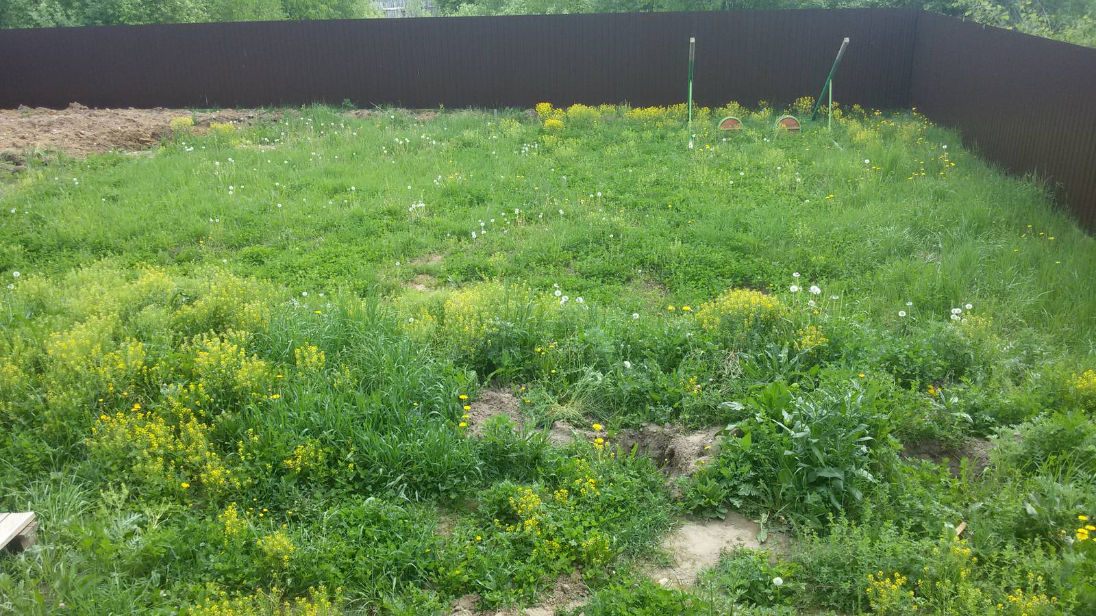 Благоустройство участка под ключ