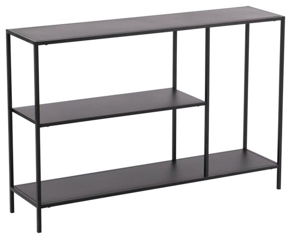 2Shelf Contemporary Metal Console Table in Black Industrial