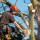 Jkee Tree Services