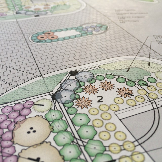 Color rendering rendering