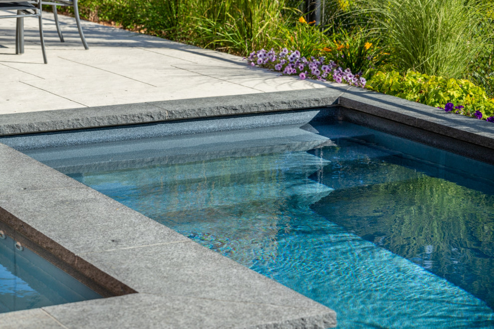 Esempio di una piccola piscina classica rettangolare dietro casa con paesaggistica bordo piscina e cemento stampato