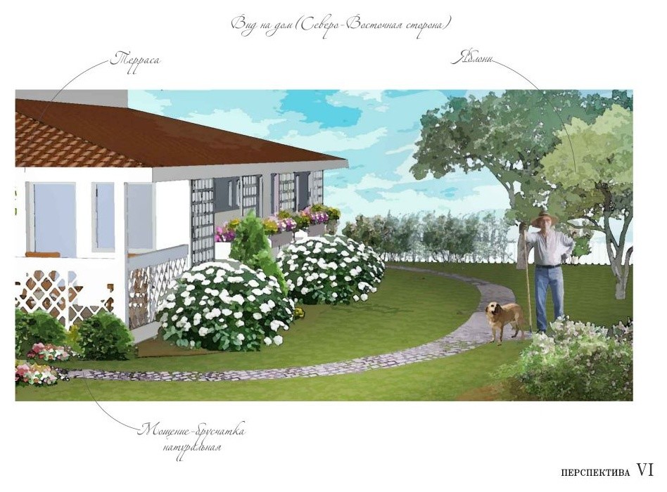 Легкий сад для Тихой Ладоги