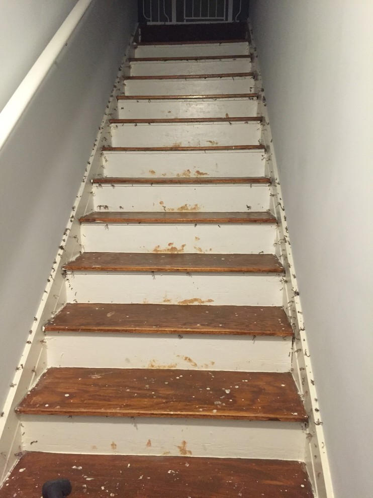 Removing Carpet Tape from Hardwood Floors or Stairs 