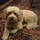 wilma_freire