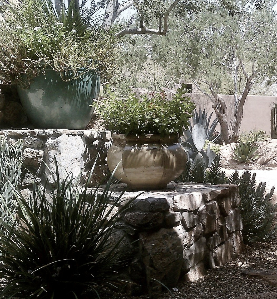 Desert Mountain--Decorative Pots