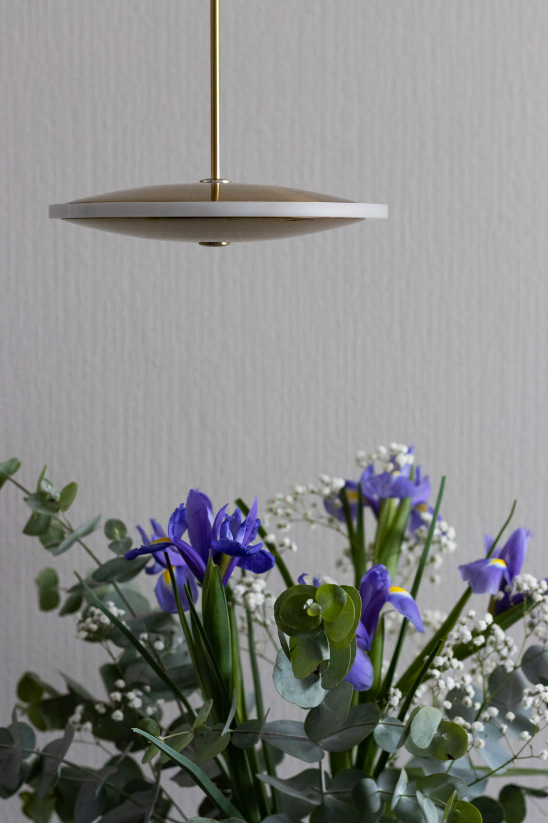 Студия 24 кв.м. для сдачи в аренду