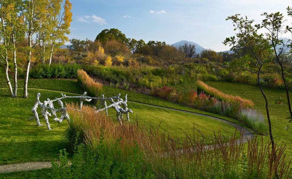 Inspiration for a contemporary garden in Denver.