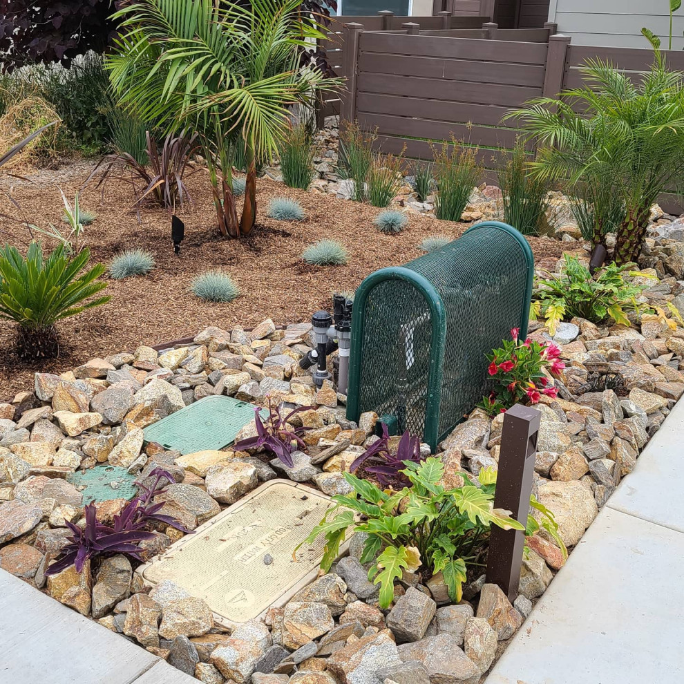 Kleiner Vorgarten im Sommer mit Blumenbeet, direkter Sonneneinstrahlung und Mulch in San Diego