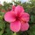 sheila_anderson9428019