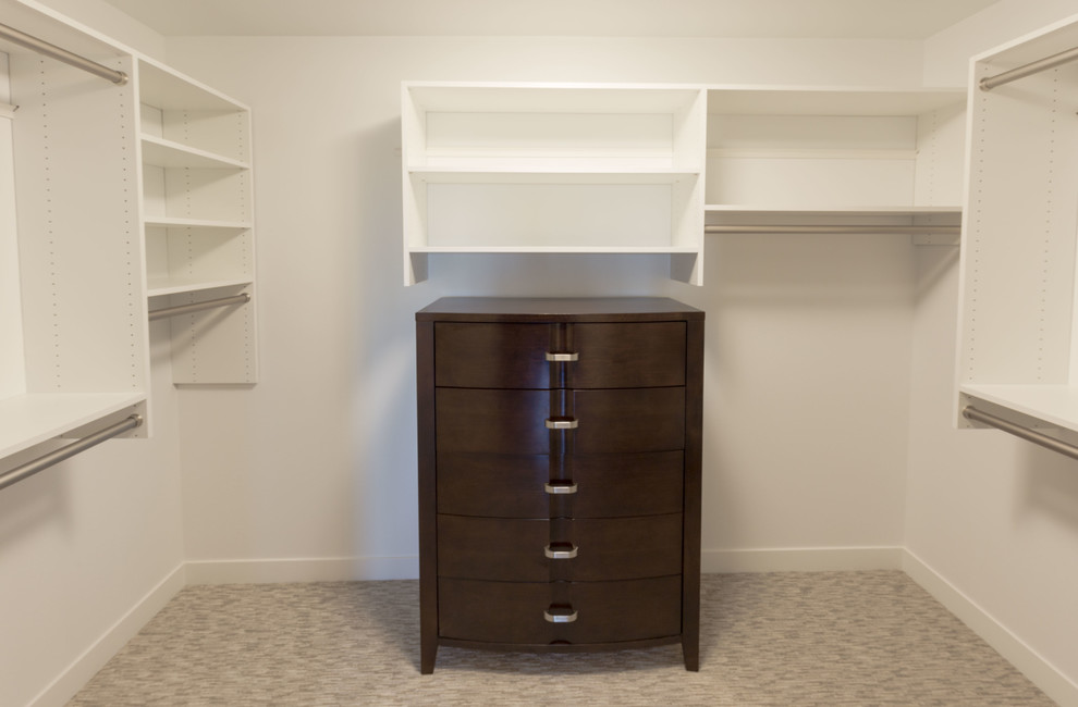 Promontory Point Modern Design - Transitional - Closet - Other - by ...