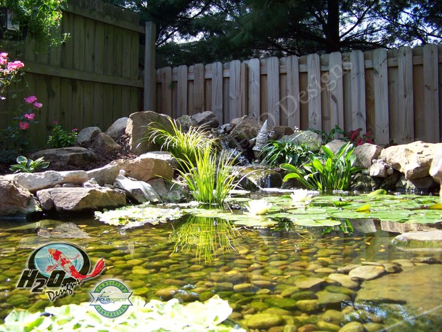 KOI Pond, Backyard Pond & Small Pond Ideas for your ...