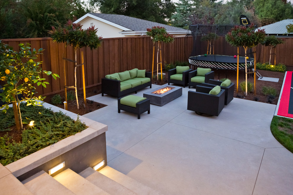 Photo of a mid-sized modern backyard garden in San Francisco with a retaining wall.