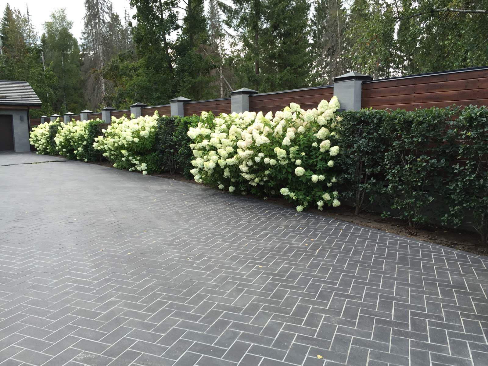 Террасный сад, Новая Рига