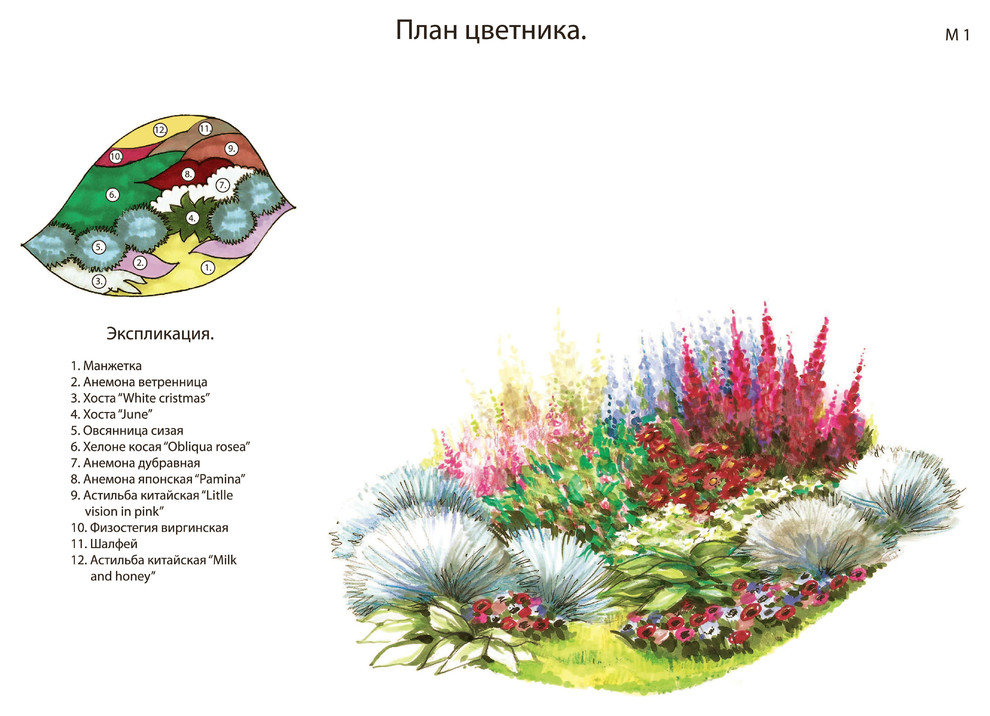 Эскизы ландшафтного дизайна участка 20 соток
