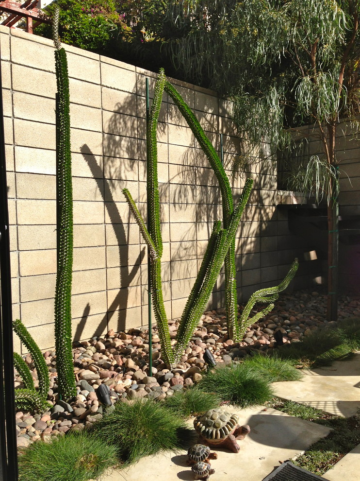 Photo of a modern garden in San Diego.