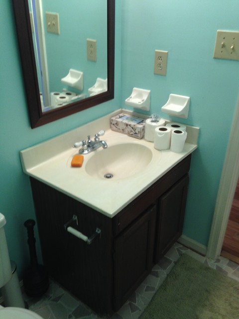 Guest Bath Refresh transitional
