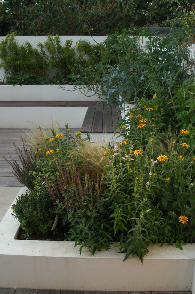 Inspiration for a contemporary garden in London with decking.