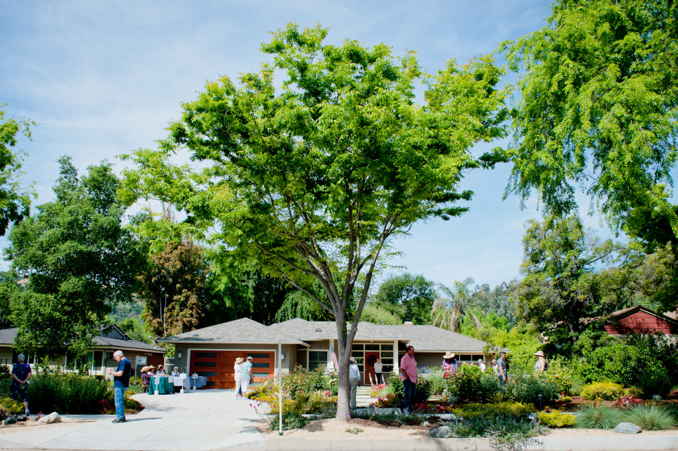 Foto di un giardino design esposto in pieno sole di medie dimensioni e davanti casa in primavera con pavimentazioni in cemento e recinzione in legno