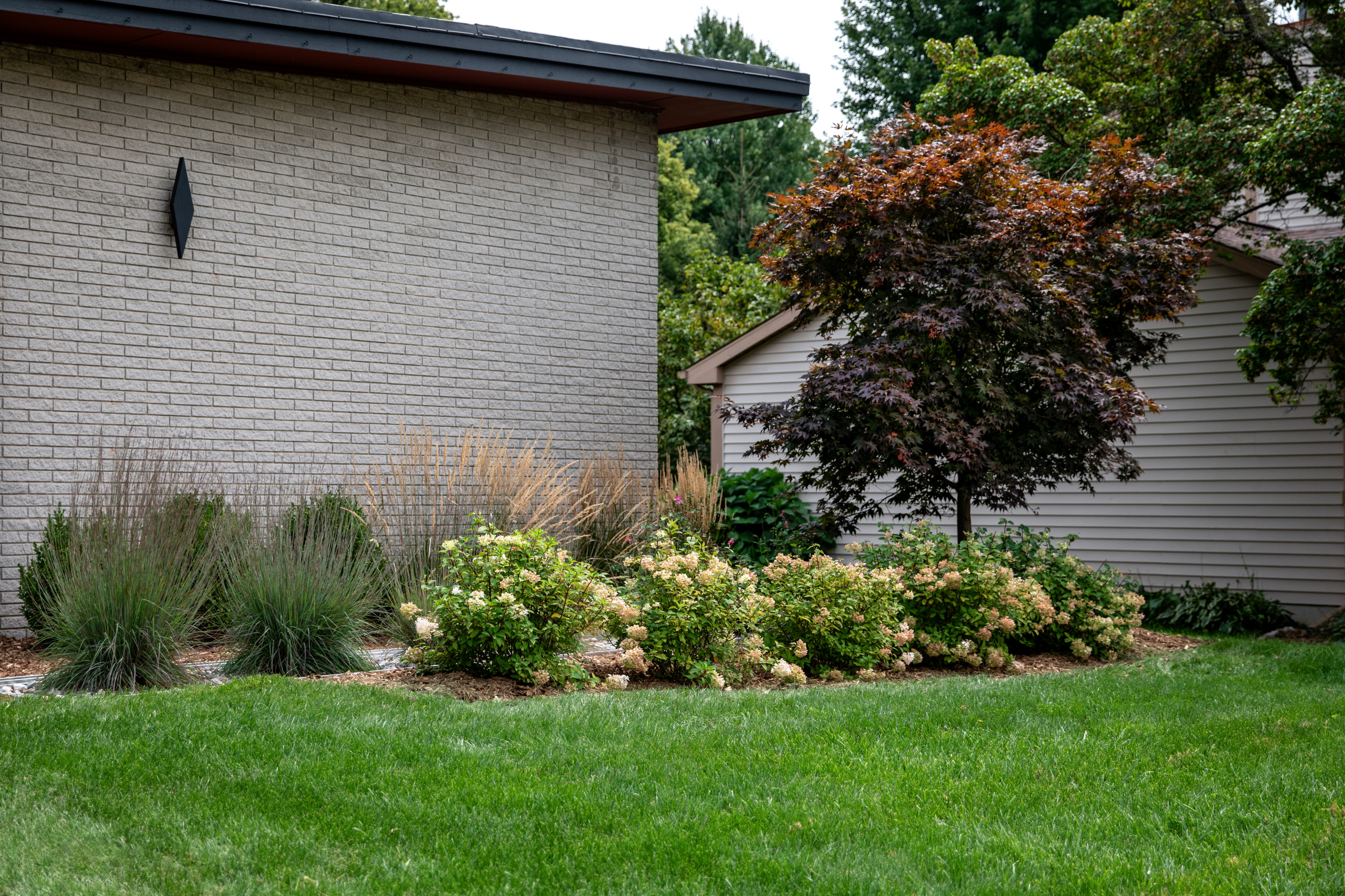 Mid-Century Modern Front Yard - East Lansing, MI