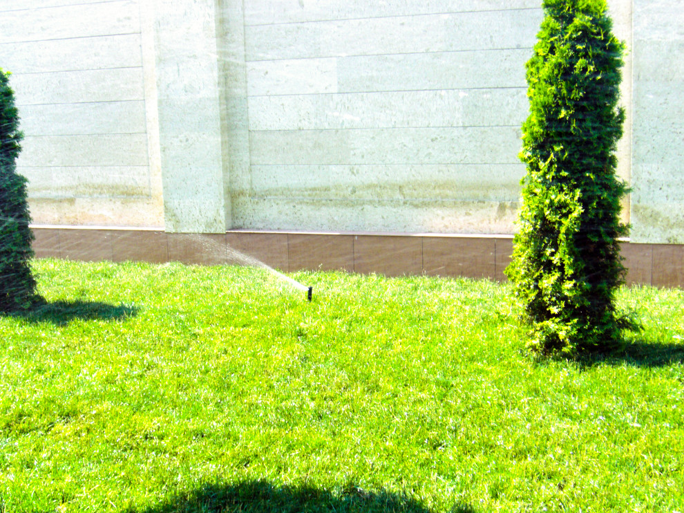 Ландшафтный дизайн в Сестрорецке