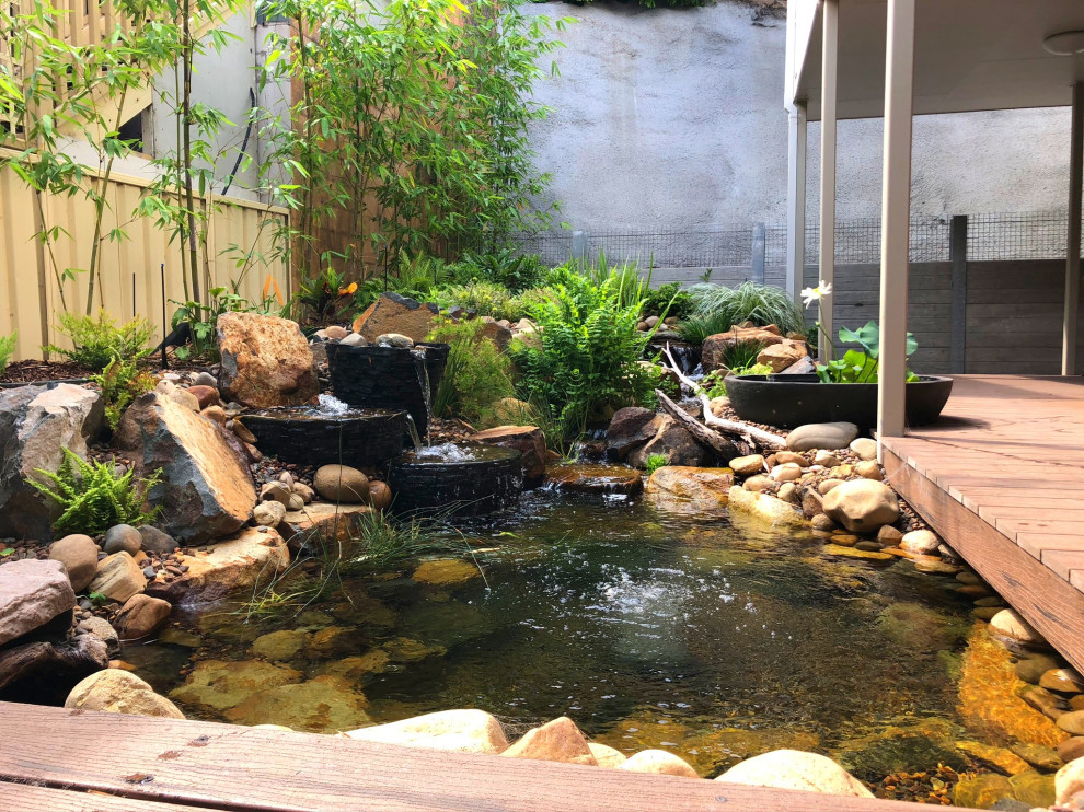 Design ideas for a mid-sized asian backyard full sun garden in Newcastle - Maitland with with pond.