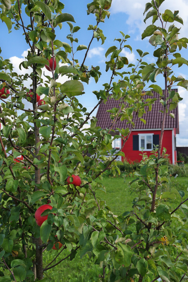 Проект благоустройства и озеленения территории в Подмосковье