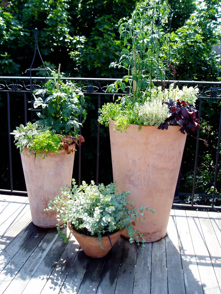 Design ideas for a small eclectic rooftop deck in Boston with no cover.