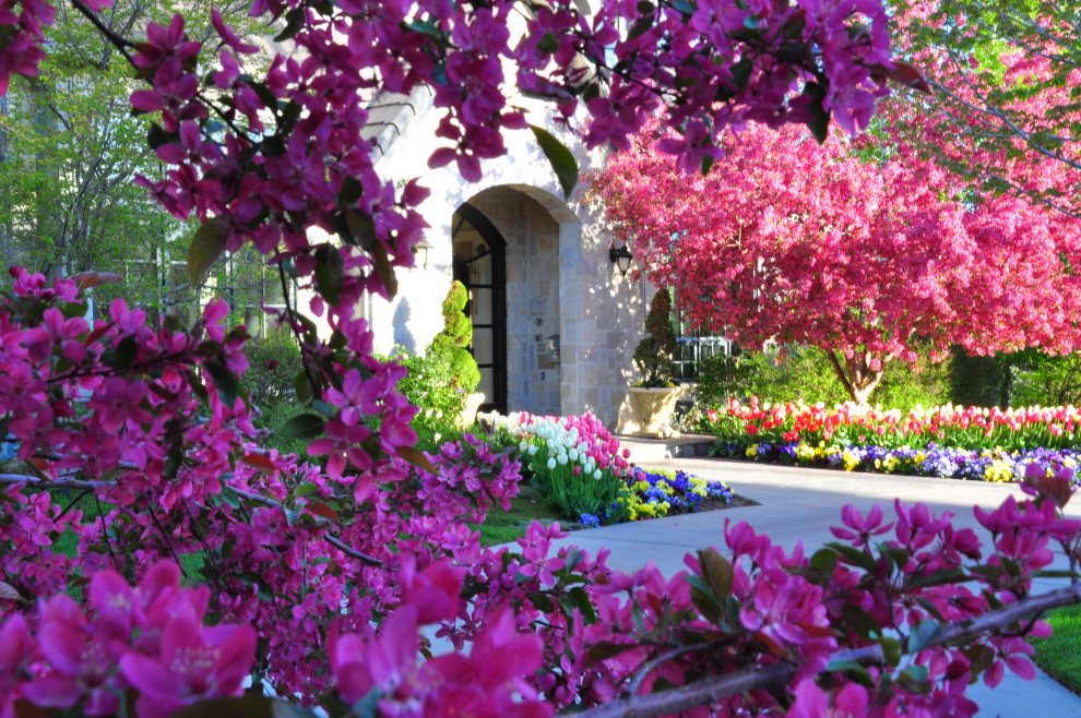 Design ideas for a traditional front yard garden for spring in Denver with with path.