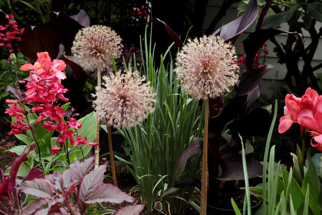 Flora & Fauna garden