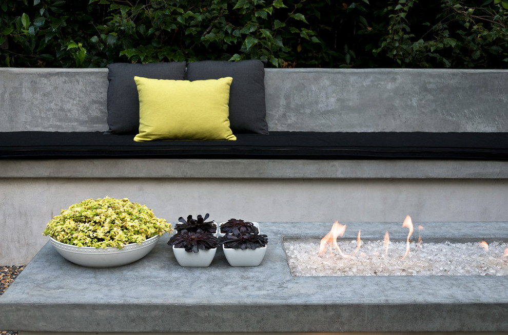 This is an example of a contemporary garden in Los Angeles with a fire feature.