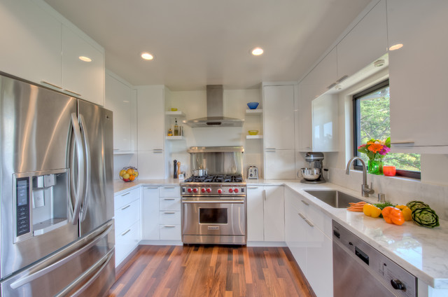 Contemporary Kitchen trendy-koekken