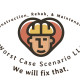 Worst Case Scenario LLC